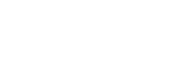 The Flex Brush Logo White